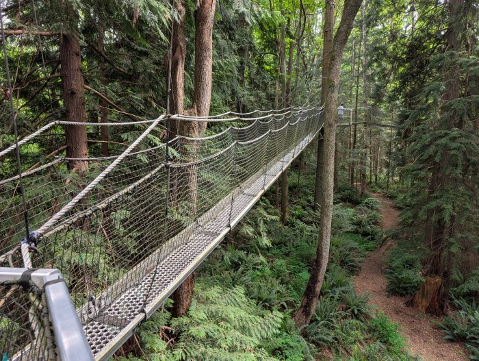 Photo of an elevated walkway through the trees at the University of British Columbia Botanical Garden.