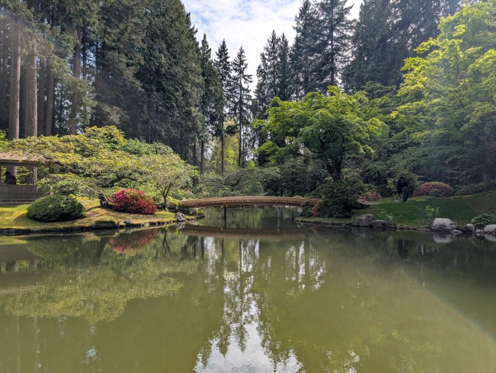 A photo of the Nitobe Memorial Garden at the University of British Columbia. The photo shows a Japanese garden with a bridge over a pond.